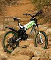 100/eTricks-Evolution-e-bike-4.jpg